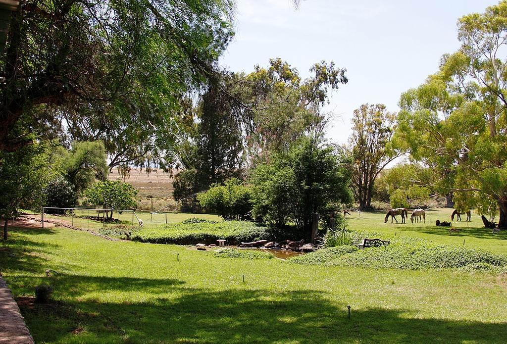 Villa Garingboom Guest Farm Springfontein Esterno foto
